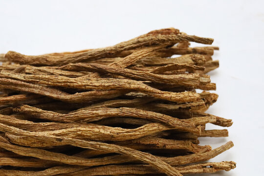 Dried brown Codonopsis root sticks used in Chinese herbal medicine.