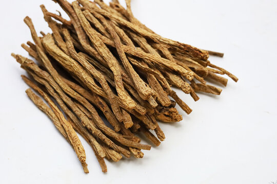 Dried brown Codonopsis root sticks used in Chinese herbal medicine.