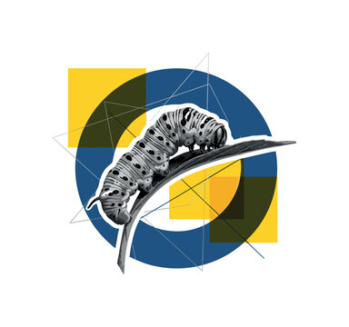 black and white caterpillar chewing leaf edge in macro style, deep blue circular frame and yellow geometric blocks layered behind, thin intersecting lines