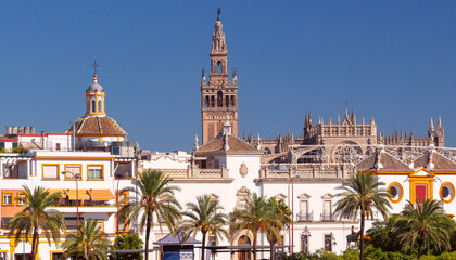 Fototapeta premium Seville skyline with Giralda tower and cathedral under blue sky Spain
