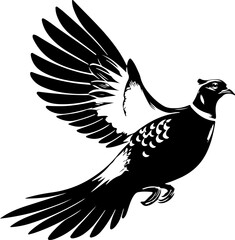 Obraz premium black pheasant bird in flight isolated on transparent background