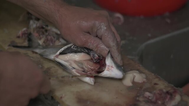 Close Up of Fisherman Cleaning Fresh Fish &ndash; Authentic Seafood Preparation