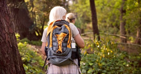 Women, hiking and forest with backpack for adventure, sightseeing or travel together in nature....