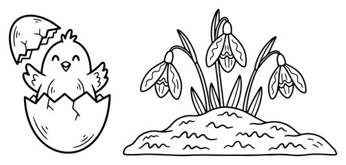 Easter chick hatching from egg next to spring snowdrop flowers in linear doodle style © AnimalZOO
