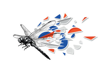 Obraz premium Black and white dragonfly partially dissolving into geometric fragments mid-air, sharp angular shards and semicircles expanding outward, bright cobalt blue and
