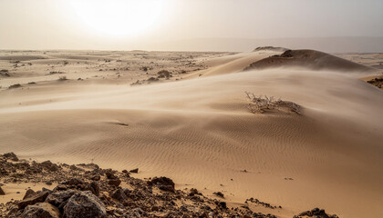 Obraz premium Dramatic desert landscape with sand sweeping across dunes under a hazy sky