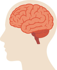 Obraz premium Flat vector illustration of a human head profile with a detailed pink brain cross section for neurology mental health psychology and medical education concepts.