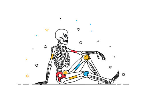 Skeleton sitting in a relaxed pose with key bones highlighted for reference, emphasizing human support system, posture, and anatomical study. Minimalist flat