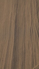 Naklejka premium A view of the sand dunes at sunset. Sand texture background.