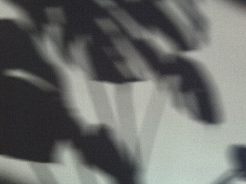 Abstract leaf shadow background with blur and grain texture in beige and black - Fond abstrait avec ombres de feuilles floues et texture grain beige et noir