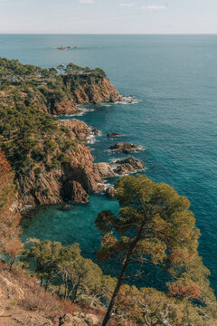Mediterranean Pines Over Coastal Cliffs on Cam&iacute; de Ronda, Costa Brava