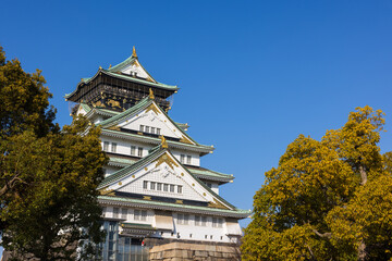 Naklejka premium Osaka castle surrounded by trees in park
