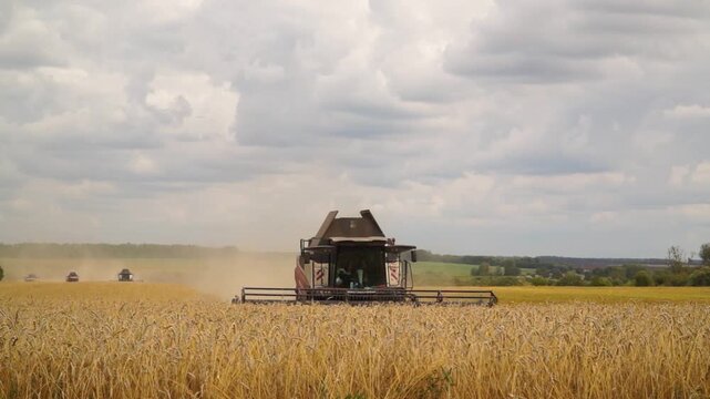 Work, combines, harvesting, wheat, tractor, moving, wheat field, autumn, picker, grain, field, harvest, season, beautiful, natural, airy, landscape