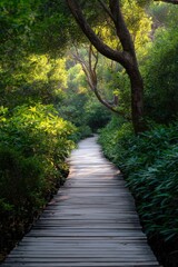 Fototapeta premium Curving wooden path through lush green forest with warm sunlight on leaves and a winding serene nature trail ahead