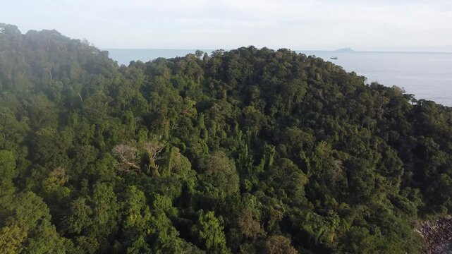 Aerial 4K view of Toque-Toque Pequeno beach in Sao Sebastiao, Brazil, with tropical rainforest mountains