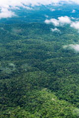 Fototapeta premium Aerial view of the pristine Amazon rainforest canopy near Saul, French Guiana. Dense tropical jungle and white clouds from an airplane.