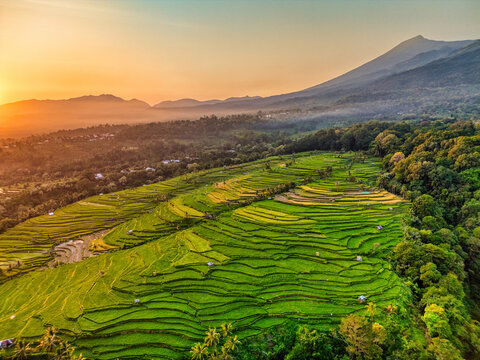 Aerial view of terraced rice paddies painted with vibrant greens and golds, nestled beneath the majestic silhouette of a mountain against a sunset sky, Senaru, West Nusa Tenggara, Indonesia.