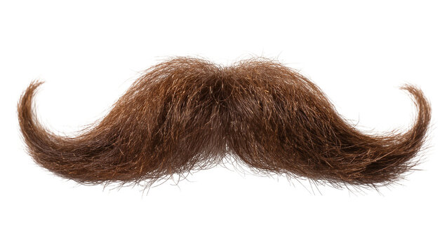 Isolated brown artificial mustache, styled with elegant curled ends, perfect for dress-up.