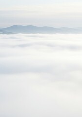 Fototapeta premium Soft, ethereal layers of white fog blanket the landscape, offering a completely obscured and minimalist background texture for design and overlay, dense, subtle, texture