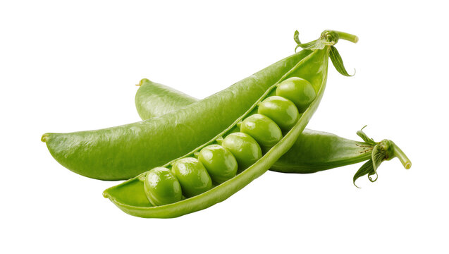 Isolated fresh green pea pods with one opened showing raw peas inside, healthy organic food