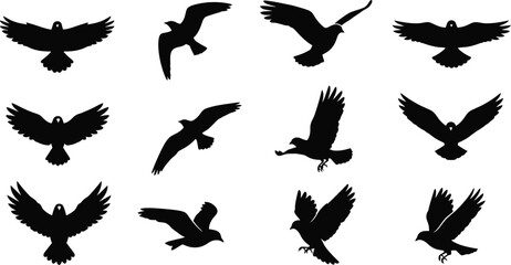 Fototapeta premium Twelve black bird silhouettes in various flying poses on a white background flying bird wings bird flight