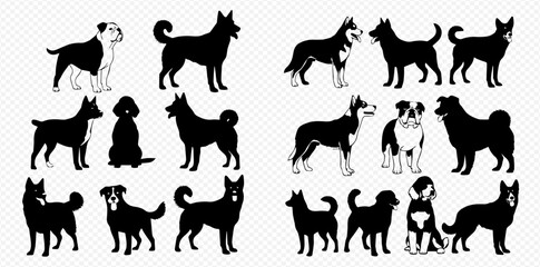 Fototapeta premium Collection of various dog breeds in silhouette, showcasing different sizes and shapes of canine companions.