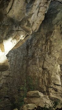 A person examines rock formations inside a cave. Natural light enters through an opening, highlighting the texture of the stones. Plants grow among the rocks, showing life in a dark space.