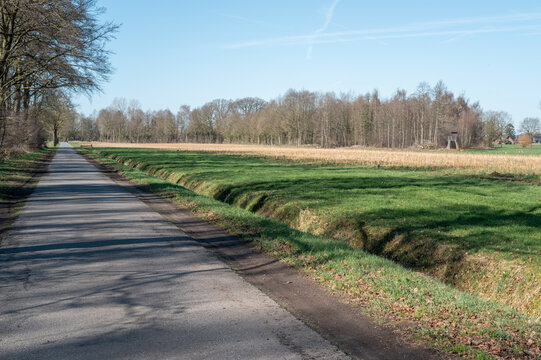 Rural road passing through fields in rhede, germany