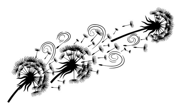 Dynamic black and white dandelion seeds in motion with fluffy seed heads in bold graphic vector style