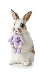 Fototapeta premium Adorable bunny holding a plush toy, standing on a white background, studio shot.