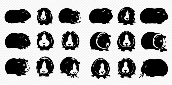 Collection of black and white guinea pig silhouettes in various poses, isolated on a transparent background, depicting different angles and actions of the small rodent pets.