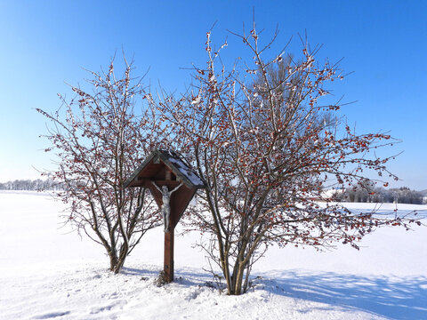 Feldkreuz, zwei Wildapfelb&auml;ume, Schneelandschaft