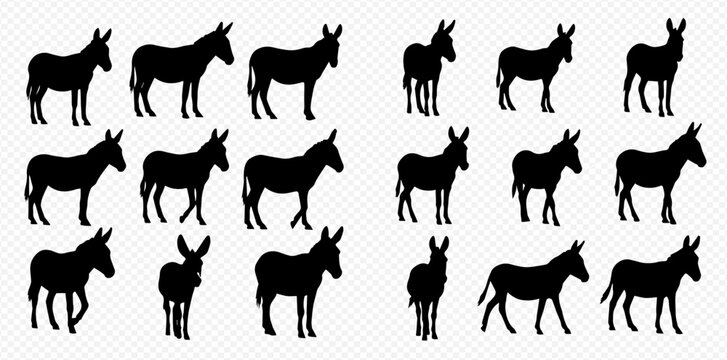 Collection of donkey silhouettes in various poses, showcasing different movements and stances of the animal.