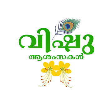 Vishu greeting in malayalam typography with kanikonna flowers and peacock feather, traditional kerala harvest festival isolated on transparent background 