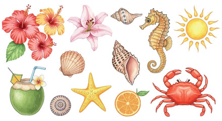 Watercolor Summer Clipart Set Tropical Flowers, Seashells, Marine Life, Sun, and Drinks. Ideal for Beach Invitations and Vacation Designs © Pronob Kumar Ray