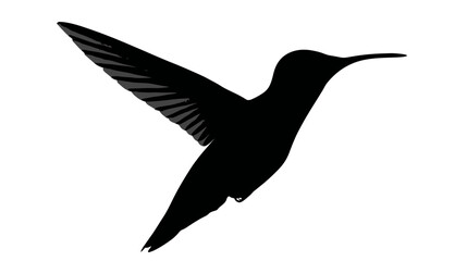 Obraz premium Elegant black silhouette of a hummingbird in flight, wings spread, isolated on a white background, minimal vector illustration