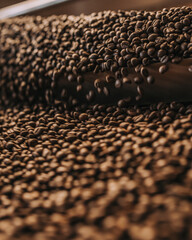 Fototapeta premium Coffeebeans fresh after roasting process