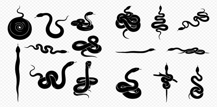 Set of various black snake silhouettes in different poses, isolated on a transparent background, depicting reptiles, serpents, and viper designs.