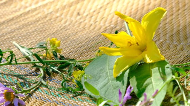 Summer scene, meadow flowers on bamboo mat ,rug. Relaxing in the shade, enjoying nature