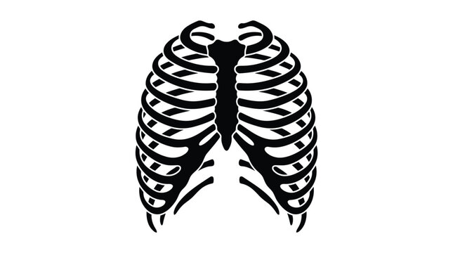A black and white vector graphic illustration of a human ribcage