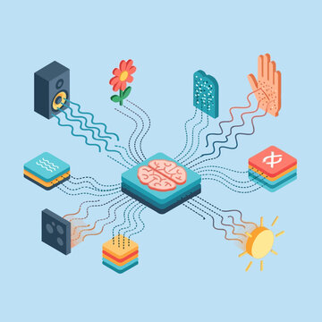 An illustration depicting a central processing unit connected to various sensory inputs.