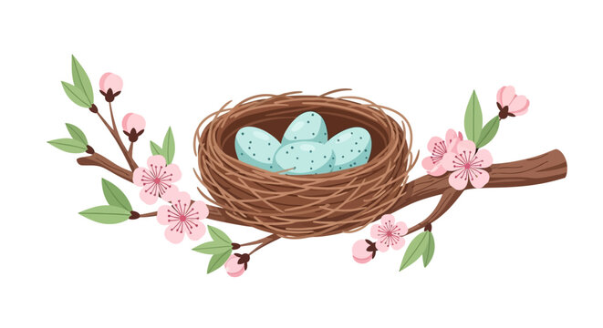 Bird's Nest with Blue Eggs on Spring Blossom Branch