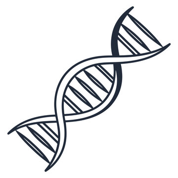 Teal dna double helix white background biology genetics