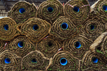 Obraz premium Stacked fresh green grass rolls with visible soil and roots for landscape service. Turf rolls stacked for instant lawn installation project. Fresh natural sod rolls for instant lawn and ground cover.