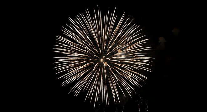 Gold fireworks exploding in dark night sky explosion
