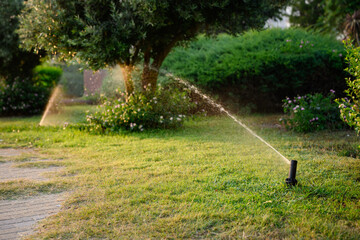 Naklejka premium Lawn watering. Automatic sprinkler system moistens lush greenery of your backyard, creating rainbow when watered. Sprinkler system provides even spray of water for lawn care during hot summer months.