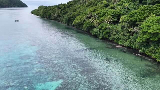 Aerial view of corals growing on a shallow, fringing reef in Fiji. This scenic region harbors high marine biodiversity and is a popular vacation destination for scuba divers and snorkelers.