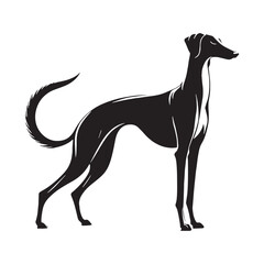 Obraz premium Elegant Saluki Dog Breed Portrait, Ancient Royal Hound, Slim Fast Sighthound, Graceful Arabian Desert Hunter, Loyal Companion, Long Legs, Smooth Coat, Noble Expression, Classic Canine Beauty.