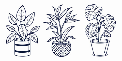 Three distinct houseplants in pots with varying leaf patterns and pot designs © MDMamun Islam