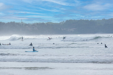 Naklejka premium 8.12.2025. Weligama Sri Lanka. Crowded surf spot in Weligama bay, Sri Lanka. Group of young people and beginners learning to surf with boards on the beach and in the Indian ocean waves.